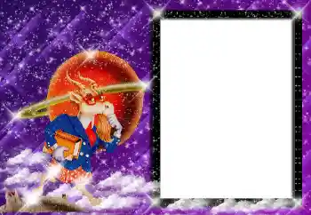 फ़ोटो फ़्रेम पर लेख: मकर राशि