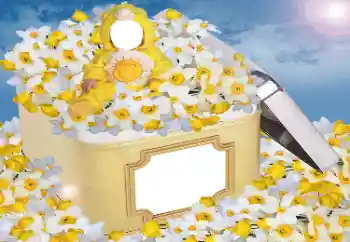 श्रेणी से फ़ोटो प्रभाव बच्चों के लिये № 33984