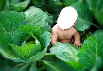 श्रेणी से फ़ोटो प्रभाव बच्चों के लिये № 90533