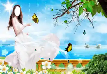 श्रेणी से फ़ोटो प्रभाव महिलाओं के लिए № 34978