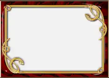 श्रेणी से फ़ोटो प्रभाव एल्बम №2 № 852