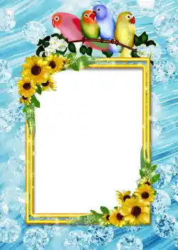 श्रेणी से फ़ोटो प्रभाव एल्बम №4 № 860