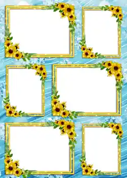 श्रेणी से फ़ोटो प्रभाव एल्बम №4 № 904