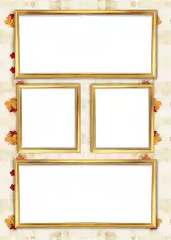 श्रेणी से फ़ोटो प्रभाव एल्बम №6 № 926