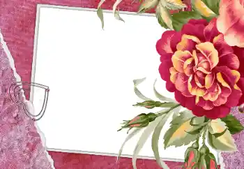 श्रेणी से फ़ोटो प्रभाव प्रेमियों के लिए फ्रेम № 112250 श्रेणी से फ़ोटो प्रभाव प्रेमियों के लिए फ्रेम № 112250