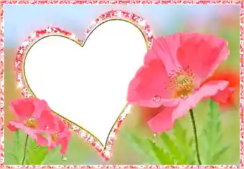 श्रेणी से फ़ोटो प्रभाव प्रेमियों के लिए फ्रेम № 112482 श्रेणी से फ़ोटो प्रभाव प्रेमियों के लिए फ्रेम № 112482