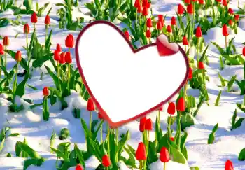 श्रेणी से फ़ोटो प्रभाव प्रेमियों के लिए फ्रेम № 114247 श्रेणी से फ़ोटो प्रभाव प्रेमियों के लिए फ्रेम № 114247