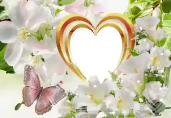 श्रेणी से फ़ोटो प्रभाव प्रेमियों के लिए फ्रेम № 114320 श्रेणी से फ़ोटो प्रभाव प्रेमियों के लिए फ्रेम № 114320