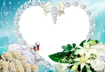 श्रेणी से फ़ोटो प्रभाव प्रेमियों के लिए फ्रेम № 117218 श्रेणी से फ़ोटो प्रभाव प्रेमियों के लिए फ्रेम № 117218