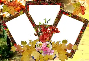 श्रेणी से फ़ोटो प्रभाव प्रेमियों के लिए फ्रेम № 124326 श्रेणी से फ़ोटो प्रभाव प्रेमियों के लिए फ्रेम № 124326