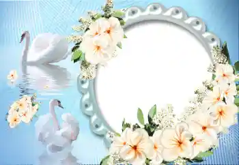 श्रेणी से फ़ोटो प्रभाव प्रेमियों के लिए फ्रेम № 12891