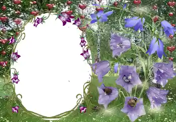 श्रेणी से फ़ोटो प्रभाव प्रेमियों के लिए फ्रेम № 131799 श्रेणी से फ़ोटो प्रभाव प्रेमियों के लिए फ्रेम № 131799