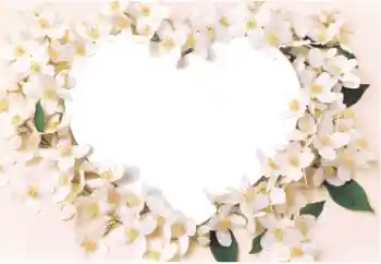 श्रेणी से फ़ोटो प्रभाव प्रेमियों के लिए फ्रेम № 14892 श्रेणी से फ़ोटो प्रभाव प्रेमियों के लिए फ्रेम № 14892