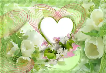 श्रेणी से फ़ोटो प्रभाव प्रेमियों के लिए फ्रेम № 153052 श्रेणी से फ़ोटो प्रभाव प्रेमियों के लिए फ्रेम № 153052