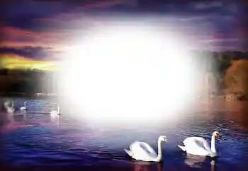 श्रेणी से फ़ोटो प्रभाव प्रेमियों के लिए फ्रेम № 153250 श्रेणी से फ़ोटो प्रभाव प्रेमियों के लिए फ्रेम № 153250