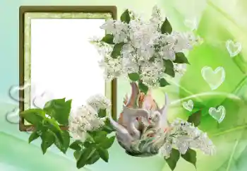 श्रेणी से फ़ोटो प्रभाव प्रेमियों के लिए फ्रेम № 153257 श्रेणी से फ़ोटो प्रभाव प्रेमियों के लिए फ्रेम № 153257