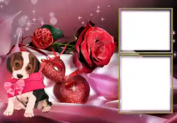 श्रेणी से फ़ोटो प्रभाव प्रेमियों के लिए फ्रेम № 154605 श्रेणी से फ़ोटो प्रभाव प्रेमियों के लिए फ्रेम № 154605