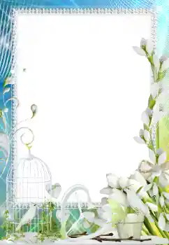 श्रेणी से फ़ोटो प्रभाव प्रेमियों के लिए फ्रेम № 158305 श्रेणी से फ़ोटो प्रभाव प्रेमियों के लिए फ्रेम № 158305