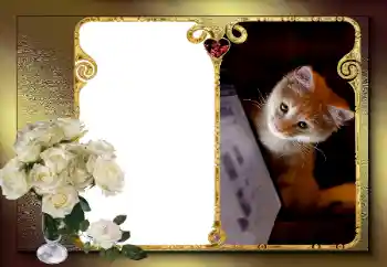 श्रेणी से फ़ोटो प्रभाव प्रेमियों के लिए फ्रेम № 163583 श्रेणी से फ़ोटो प्रभाव प्रेमियों के लिए फ्रेम № 163583