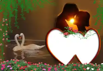 श्रेणी से फ़ोटो प्रभाव प्रेमियों के लिए फ्रेम № 16951 श्रेणी से फ़ोटो प्रभाव प्रेमियों के लिए फ्रेम № 16951