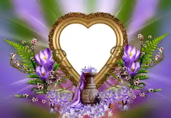 श्रेणी से फ़ोटो प्रभाव प्रेमियों के लिए फ्रेम № 171815 श्रेणी से फ़ोटो प्रभाव प्रेमियों के लिए फ्रेम № 171815