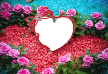 श्रेणी से फ़ोटो प्रभाव प्रेमियों के लिए फ्रेम № 175547 श्रेणी से फ़ोटो प्रभाव प्रेमियों के लिए फ्रेम № 175547