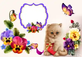 श्रेणी से फ़ोटो प्रभाव प्रेमियों के लिए फ्रेम № 177858