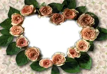 श्रेणी से फ़ोटो प्रभाव प्रेमियों के लिए फ्रेम № 1788 श्रेणी से फ़ोटो प्रभाव प्रेमियों के लिए फ्रेम № 1788