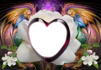 श्रेणी से फ़ोटो प्रभाव प्रेमियों के लिए फ्रेम № 179579 श्रेणी से फ़ोटो प्रभाव प्रेमियों के लिए फ्रेम № 179579