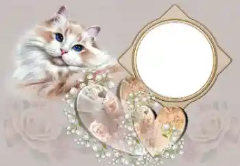 श्रेणी से फ़ोटो प्रभाव प्रेमियों के लिए फ्रेम № 180791