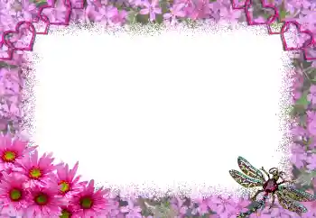 श्रेणी से फ़ोटो प्रभाव प्रेमियों के लिए फ्रेम № 1817 श्रेणी से फ़ोटो प्रभाव प्रेमियों के लिए फ्रेम № 1817