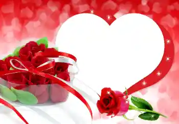 श्रेणी से फ़ोटो प्रभाव प्रेमियों के लिए फ्रेम № 190531