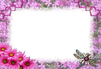 श्रेणी से फ़ोटो प्रभाव प्रेमियों के लिए फ्रेम № 191697