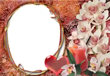 श्रेणी से फ़ोटो प्रभाव प्रेमियों के लिए फ्रेम № 2198