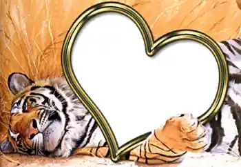 श्रेणी से फ़ोटो प्रभाव प्रेमियों के लिए फ्रेम № 2202