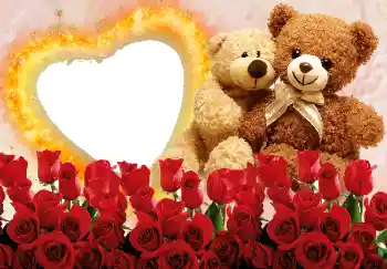 श्रेणी से फ़ोटो प्रभाव प्रेमियों के लिए फ्रेम № 2215 श्रेणी से फ़ोटो प्रभाव प्रेमियों के लिए फ्रेम № 2215