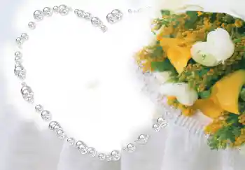 श्रेणी से फ़ोटो प्रभाव प्रेमियों के लिए फ्रेम № 2856 श्रेणी से फ़ोटो प्रभाव प्रेमियों के लिए फ्रेम № 2856