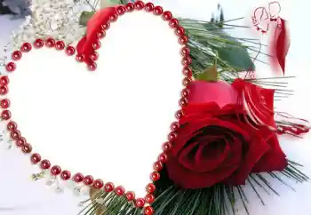 श्रेणी से फ़ोटो प्रभाव प्रेमियों के लिए फ्रेम № 31790 श्रेणी से फ़ोटो प्रभाव प्रेमियों के लिए फ्रेम № 31790