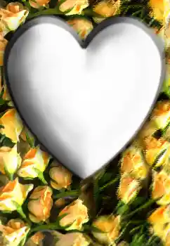 श्रेणी से फ़ोटो प्रभाव प्रेमियों के लिए फ्रेम № 32804 श्रेणी से फ़ोटो प्रभाव प्रेमियों के लिए फ्रेम № 32804