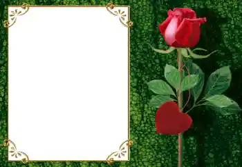 श्रेणी से फ़ोटो प्रभाव प्रेमियों के लिए फ्रेम № 34006 श्रेणी से फ़ोटो प्रभाव प्रेमियों के लिए फ्रेम № 34006