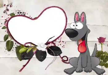 श्रेणी से फ़ोटो प्रभाव प्रेमियों के लिए फ्रेम № 35081