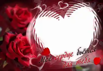 फ़ोटो फ़्रेम पर लेख: Моё сердце бьётся для тебя