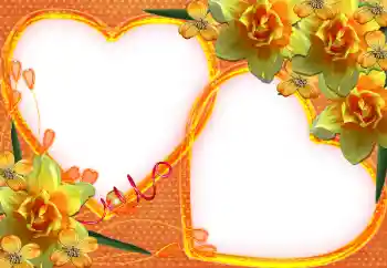 श्रेणी से फ़ोटो प्रभाव प्रेमियों के लिए फ्रेम № 37231