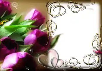 श्रेणी से फ़ोटो प्रभाव प्रेमियों के लिए फ्रेम № 38534