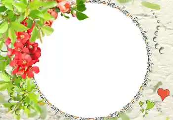 फ़ोटो फ़्रेम पर लेख: love