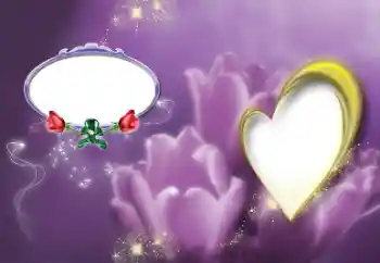 श्रेणी से फ़ोटो प्रभाव प्रेमियों के लिए फ्रेम № 39213