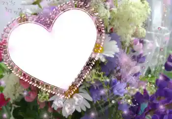 श्रेणी से फ़ोटो प्रभाव प्रेमियों के लिए फ्रेम № 40516