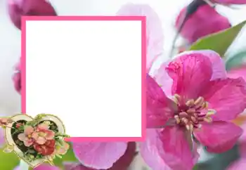 श्रेणी से फ़ोटो प्रभाव प्रेमियों के लिए फ्रेम № 43593