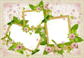 श्रेणी से फ़ोटो प्रभाव प्रेमियों के लिए फ्रेम № 49513