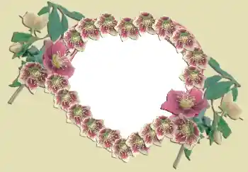 श्रेणी से फ़ोटो प्रभाव प्रेमियों के लिए फ्रेम № 49524